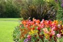 Gardens, Dublin Ireland 2